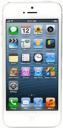 Смартфон Apple iPhone 5 64Gb White & Silver - Елизово