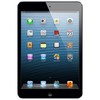 Apple iPad mini 64Gb Wi-Fi черный - Елизово