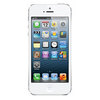 Apple iPhone 5 16Gb white - Елизово