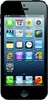 Apple iPhone 5 16GB - Елизово